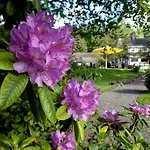 Romantik Stryckhaus 호텔 빌링겐