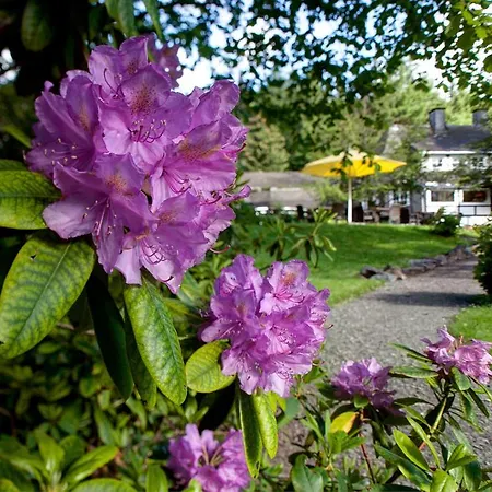 Romantik Stryckhaus ホテル ヴィリンゲン