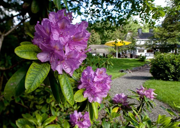 Romantik Stryckhaus Hotel Willingen (Upland)